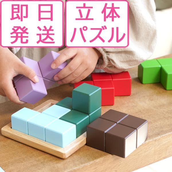 ラッピング無料 賢人パズル エドインター 立体パズル 積み木 木のおもちゃ 知育玩具 1歳 2歳 3歳 脳トレ